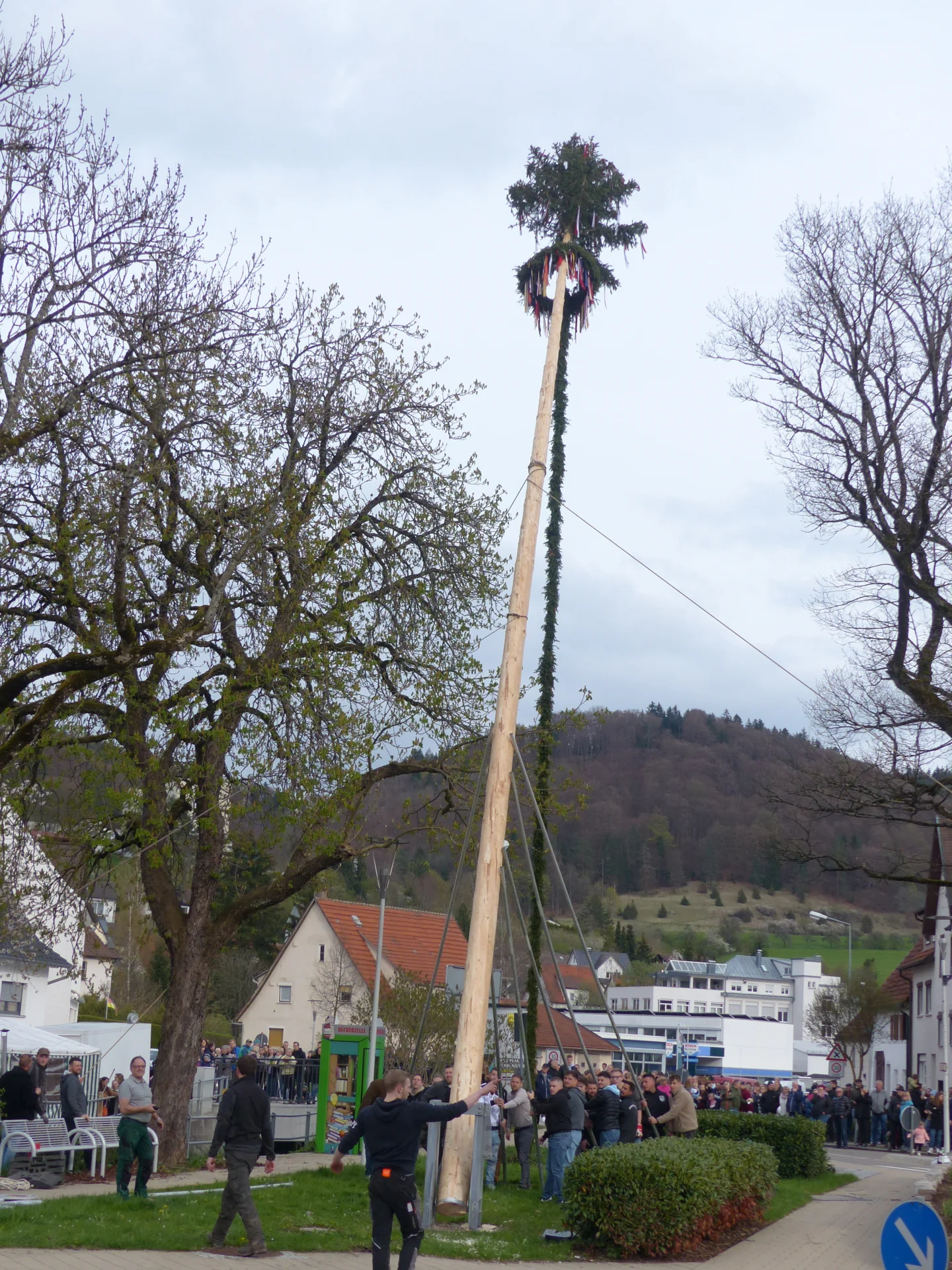 Bild der Galerie