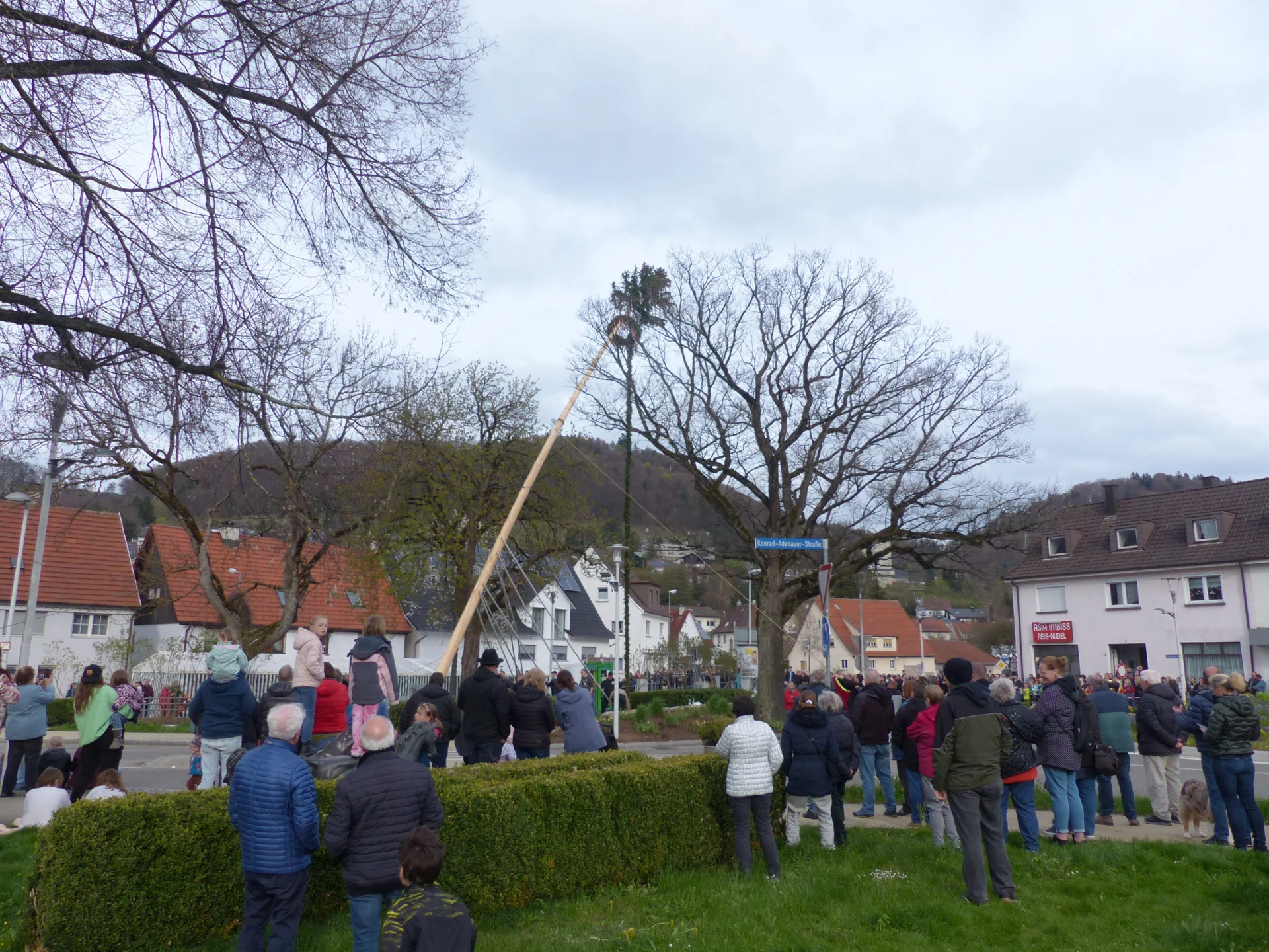 Bild der Galerie