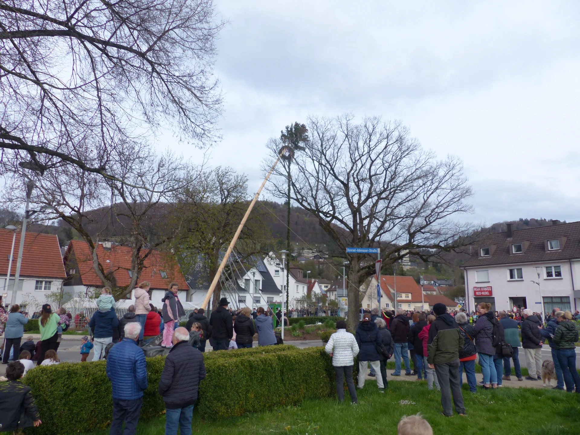 Bild der Galerie
