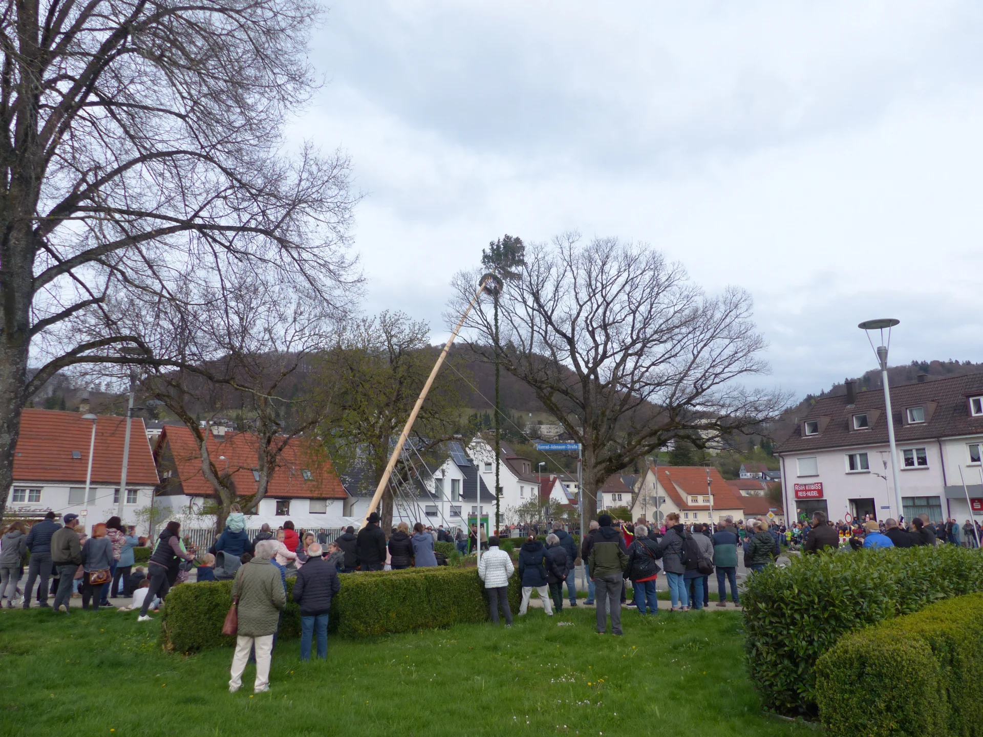 Bild der Galerie
