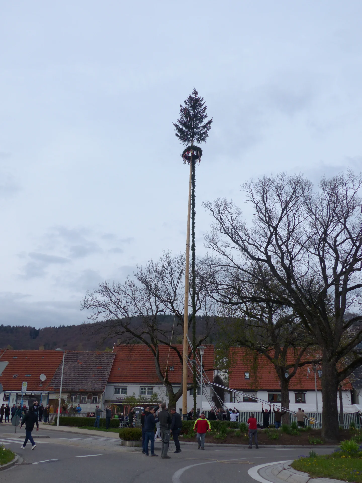Bild der Galerie