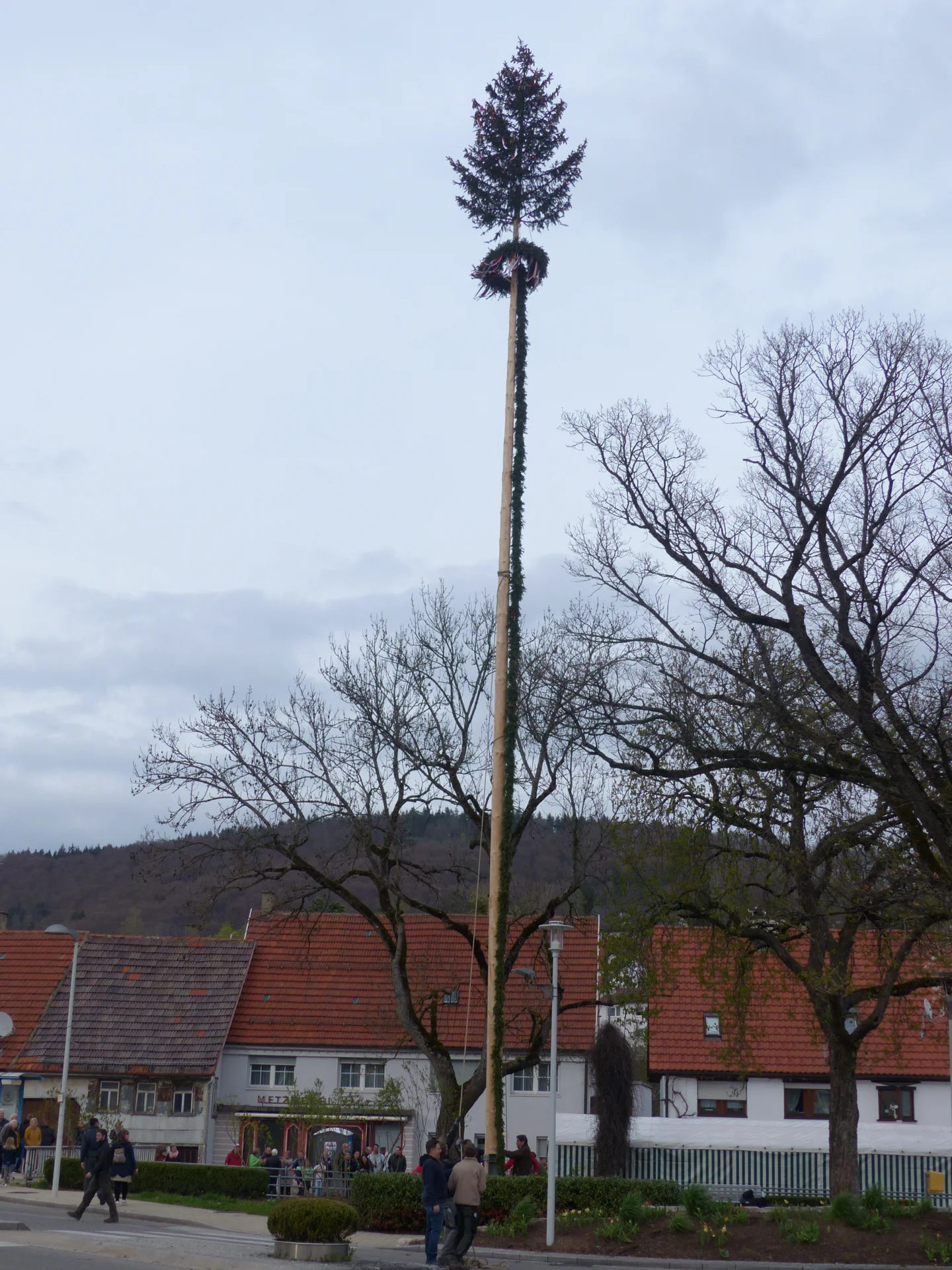 Bild der Galerie
