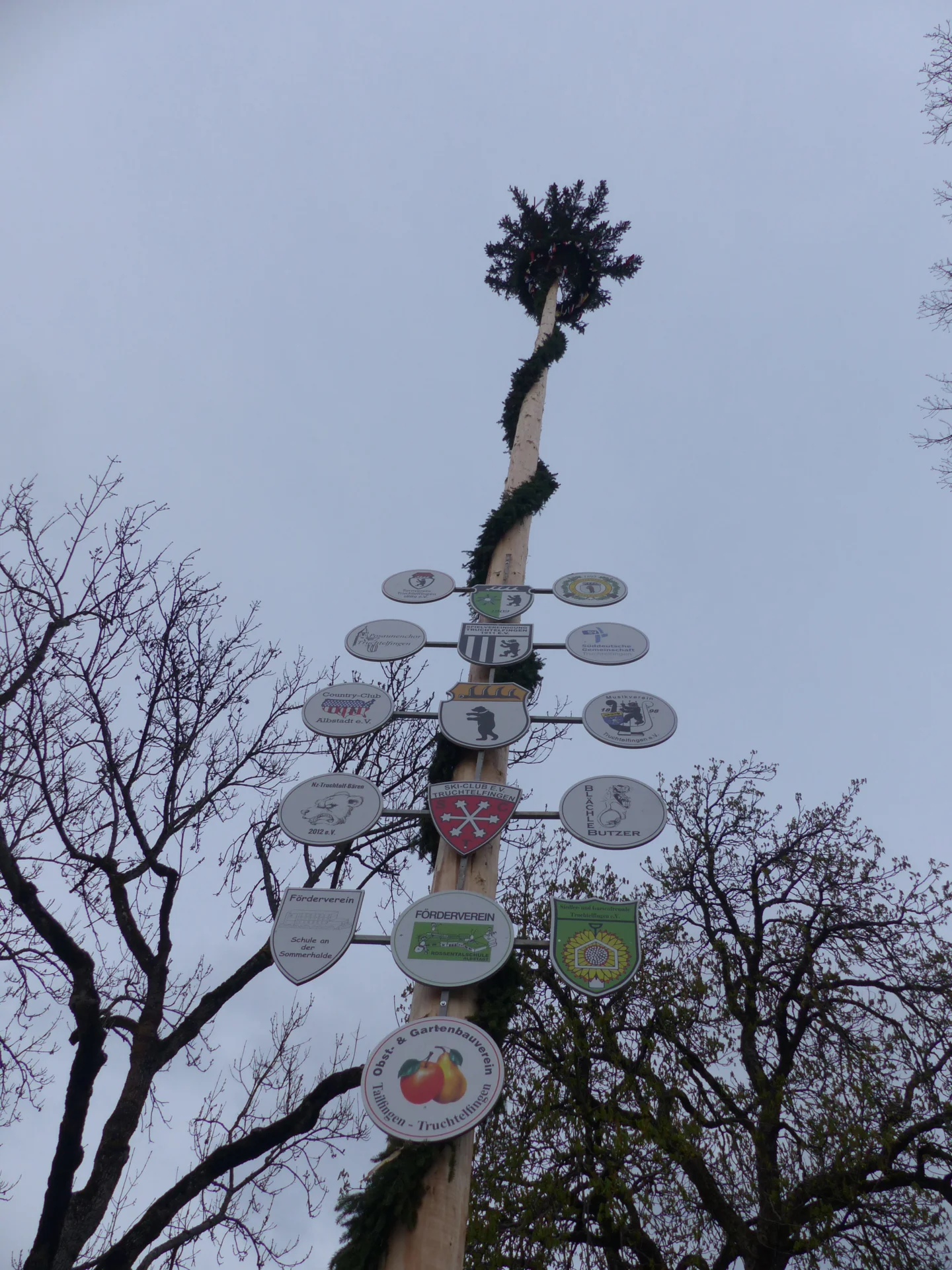 Zur Galerie: 2023 Maibaum