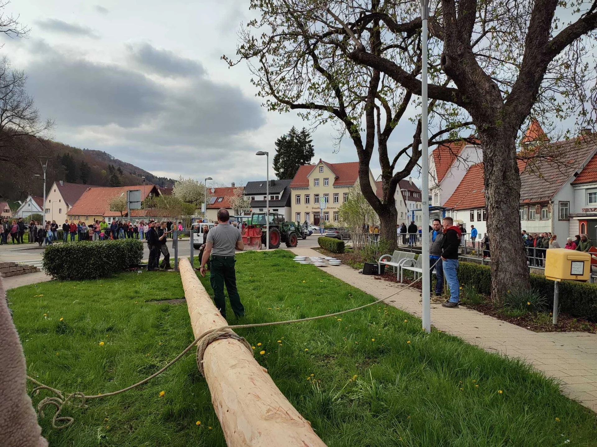 Bild der Galerie