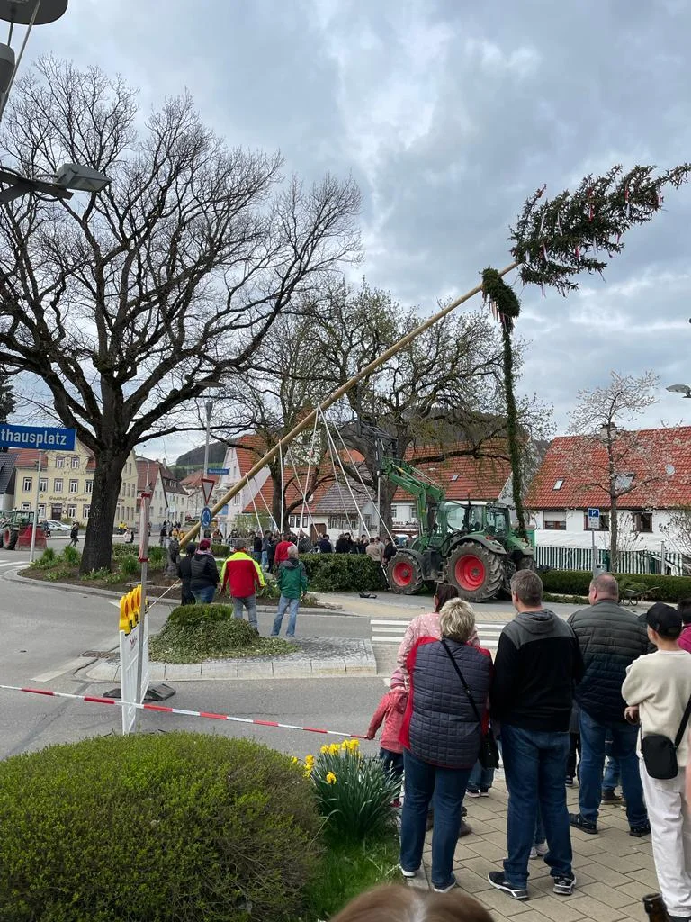 Bild der Galerie