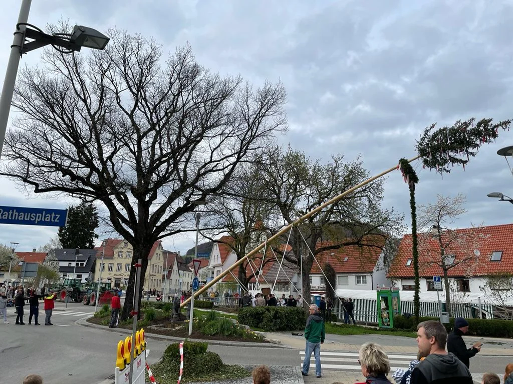 Bild der Galerie