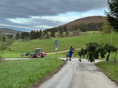 Vorschaubild der Galerie