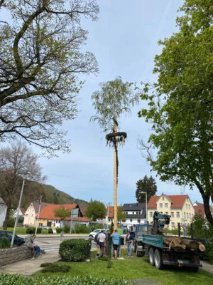 Vorschaubild der Galerie