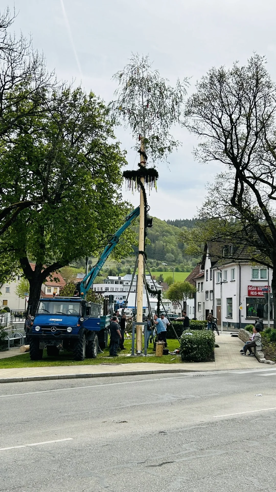 Zur Galerie: 2024 Maibaum