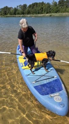 Vorschaubild: SUP mit Hund Workshop bei den Bundshundespielen 2025