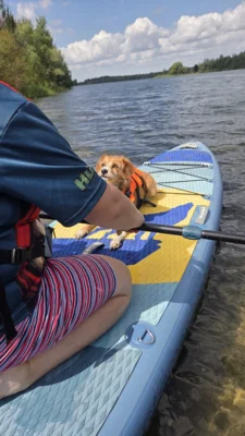 Vorschaubild: SUP mit Hund Workshop in Bremen 2025