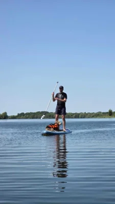 Vorschaubild: SUP mit Hund Workshop in Bremen 2025, SUP mit einem Labrador
