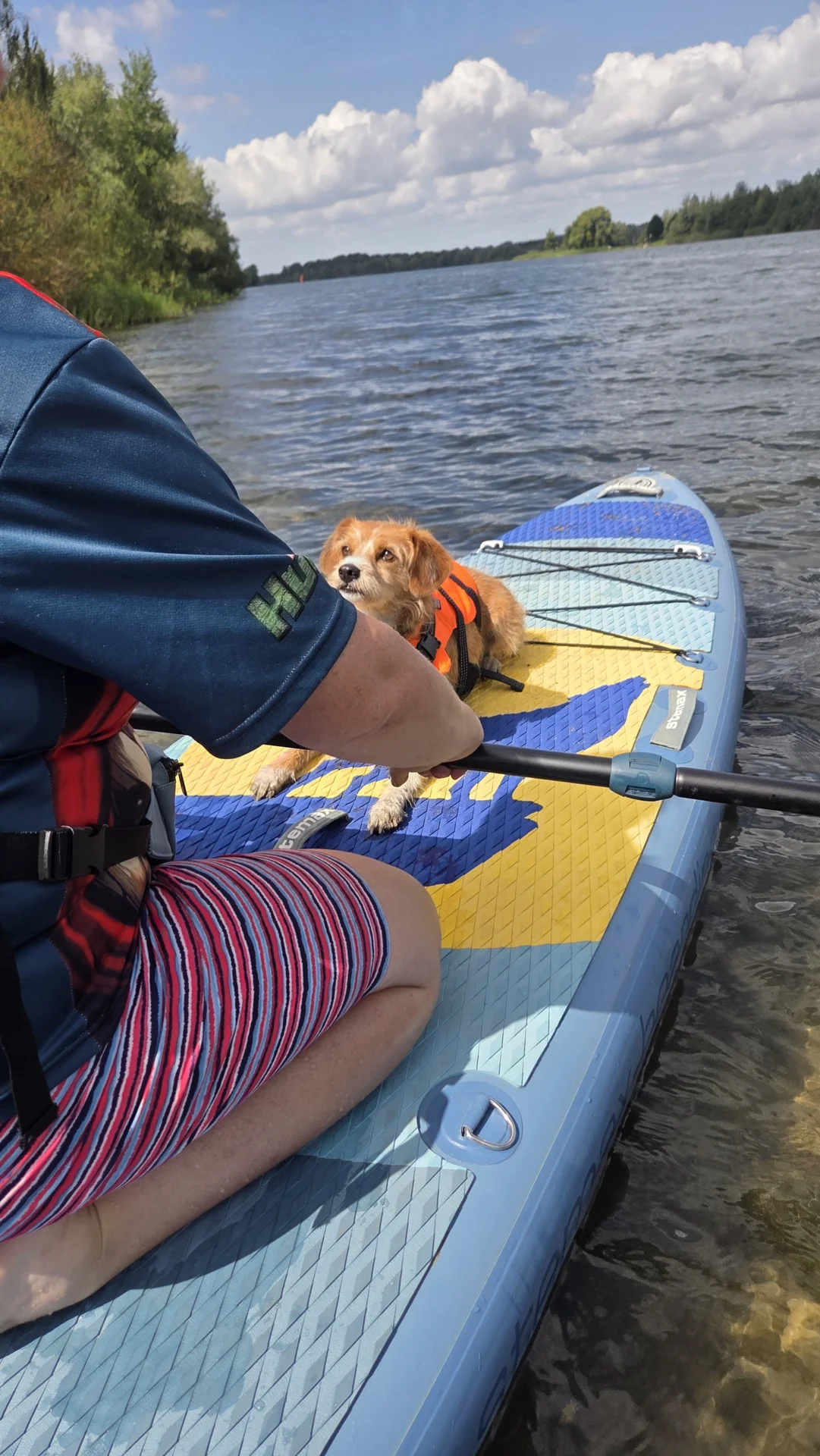 Bild: SUP mit Hund Workshop in Bremen 2025