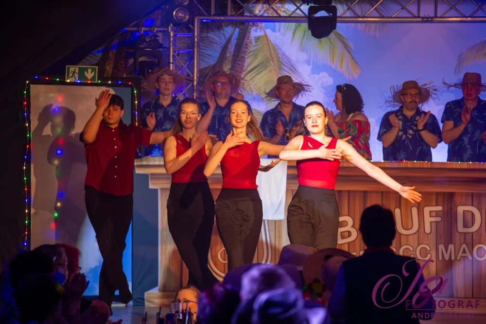 Foto der Galerie: Ab auf die Insel - Sonntagskarneval 8.2.26