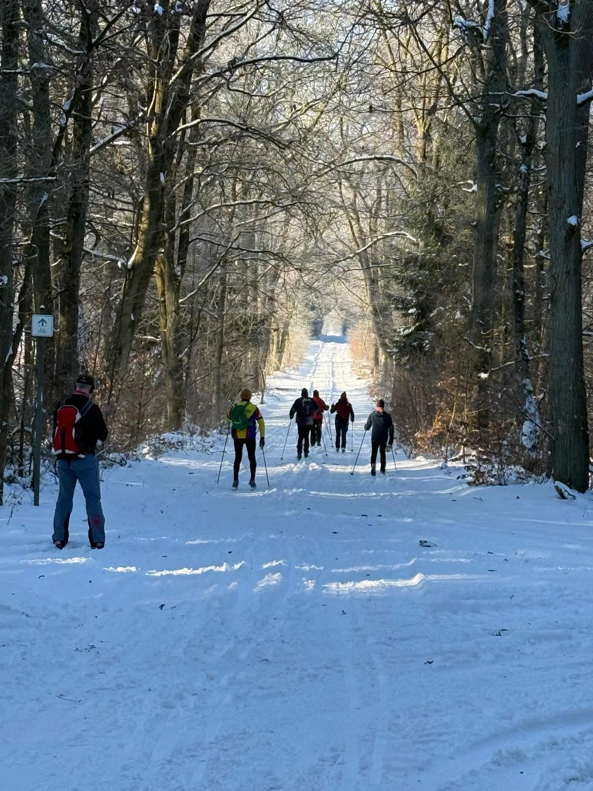 Foto der Galerie: Langlauf im Stadtwald Uelzen 2026