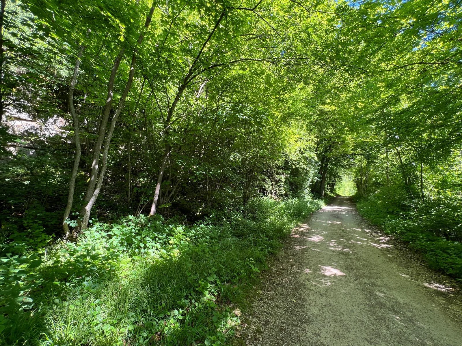 Bild: Gravel1