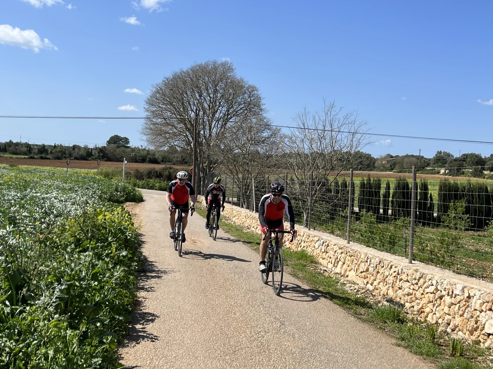 Bild: Mallorca 5