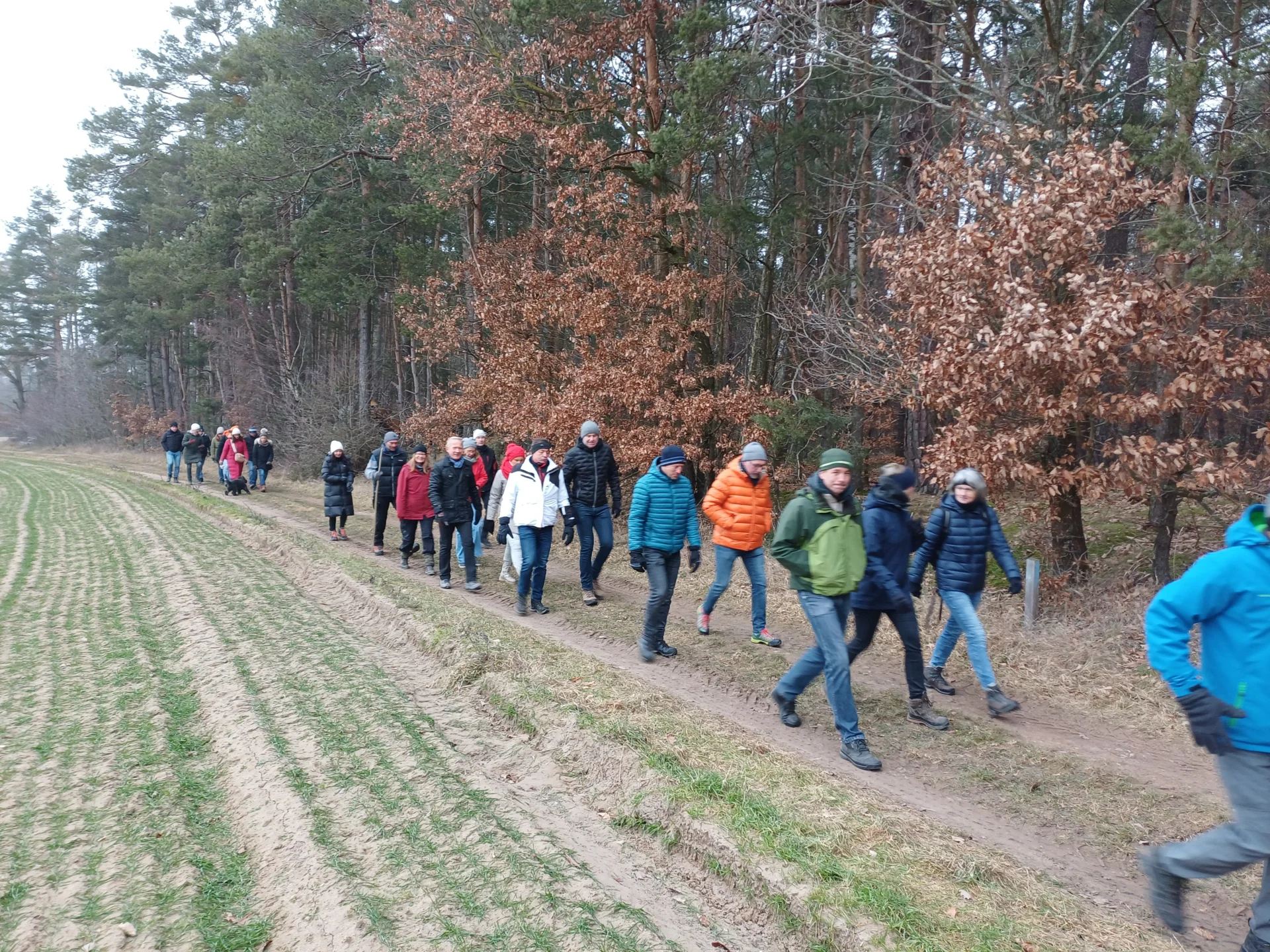 Bild: Winterwanderung (4)