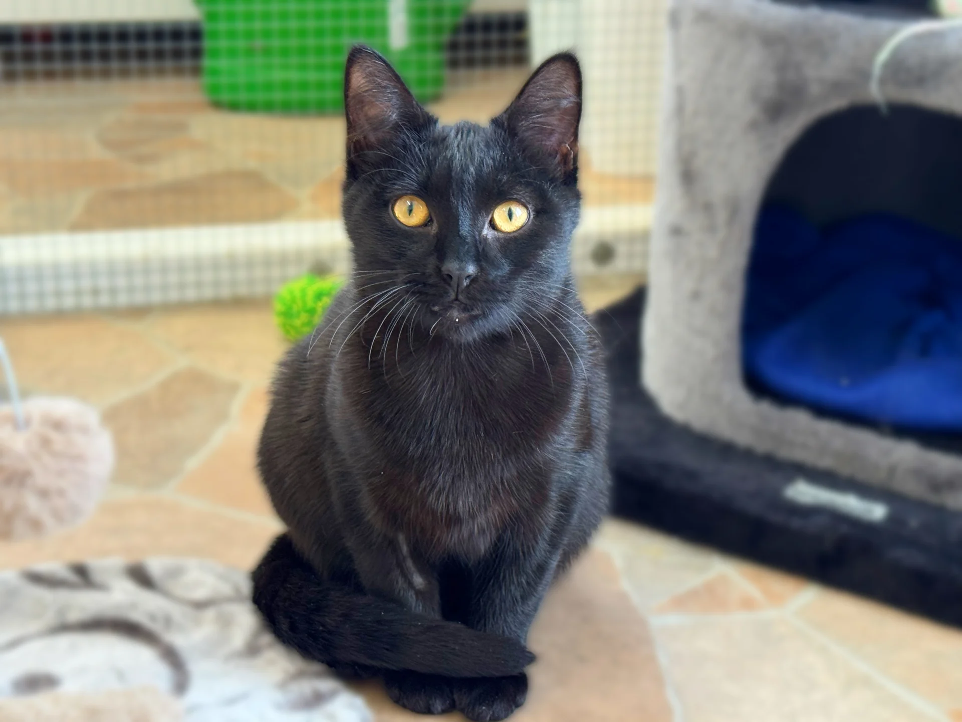 Zur Galerie: Sid