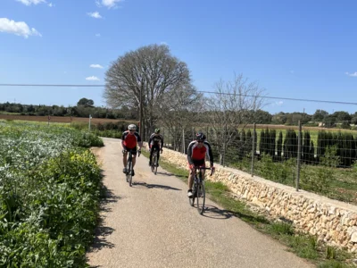 Vorschaubild: Mallorca 5