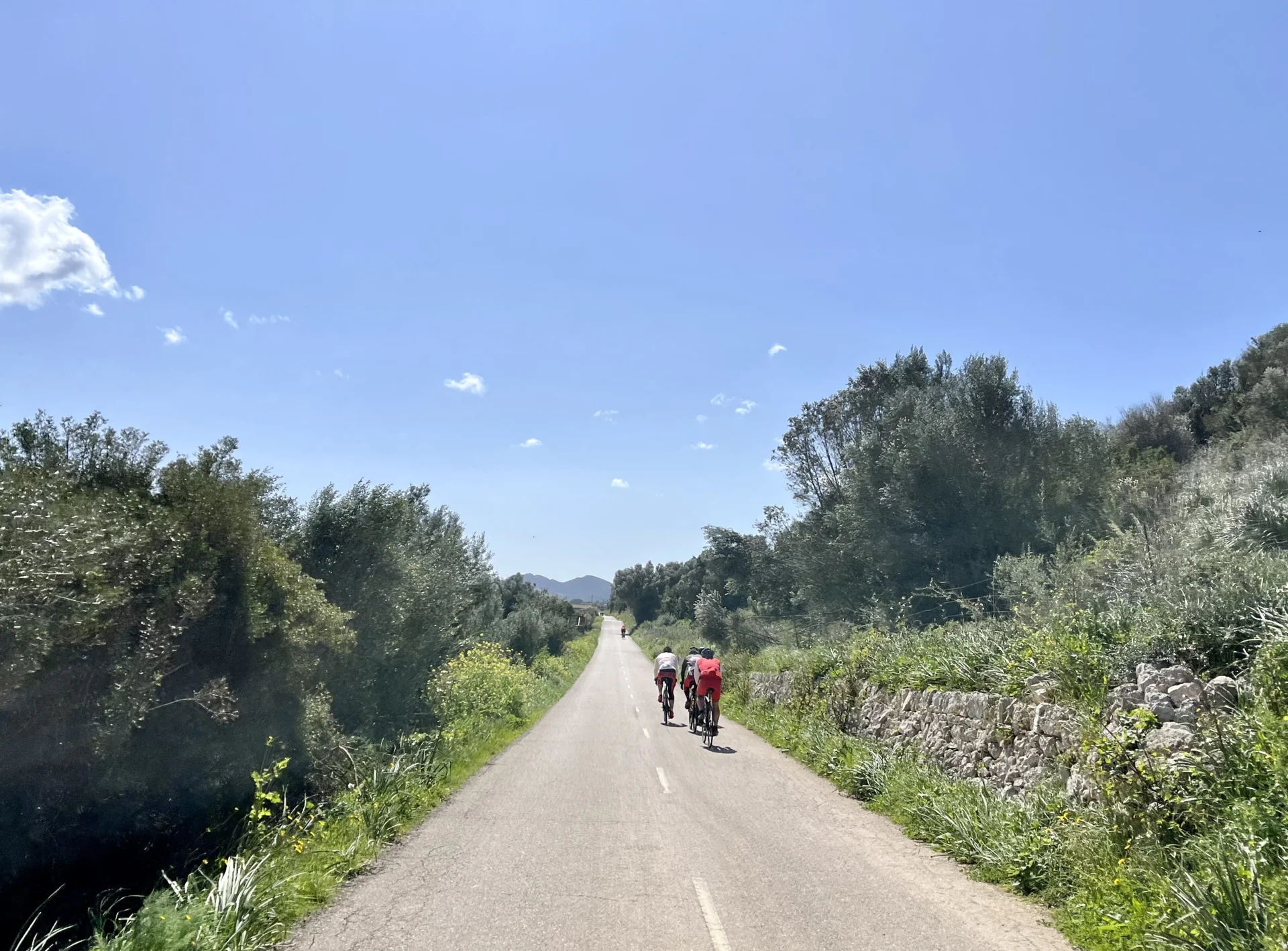 Bild: Mallorca 3