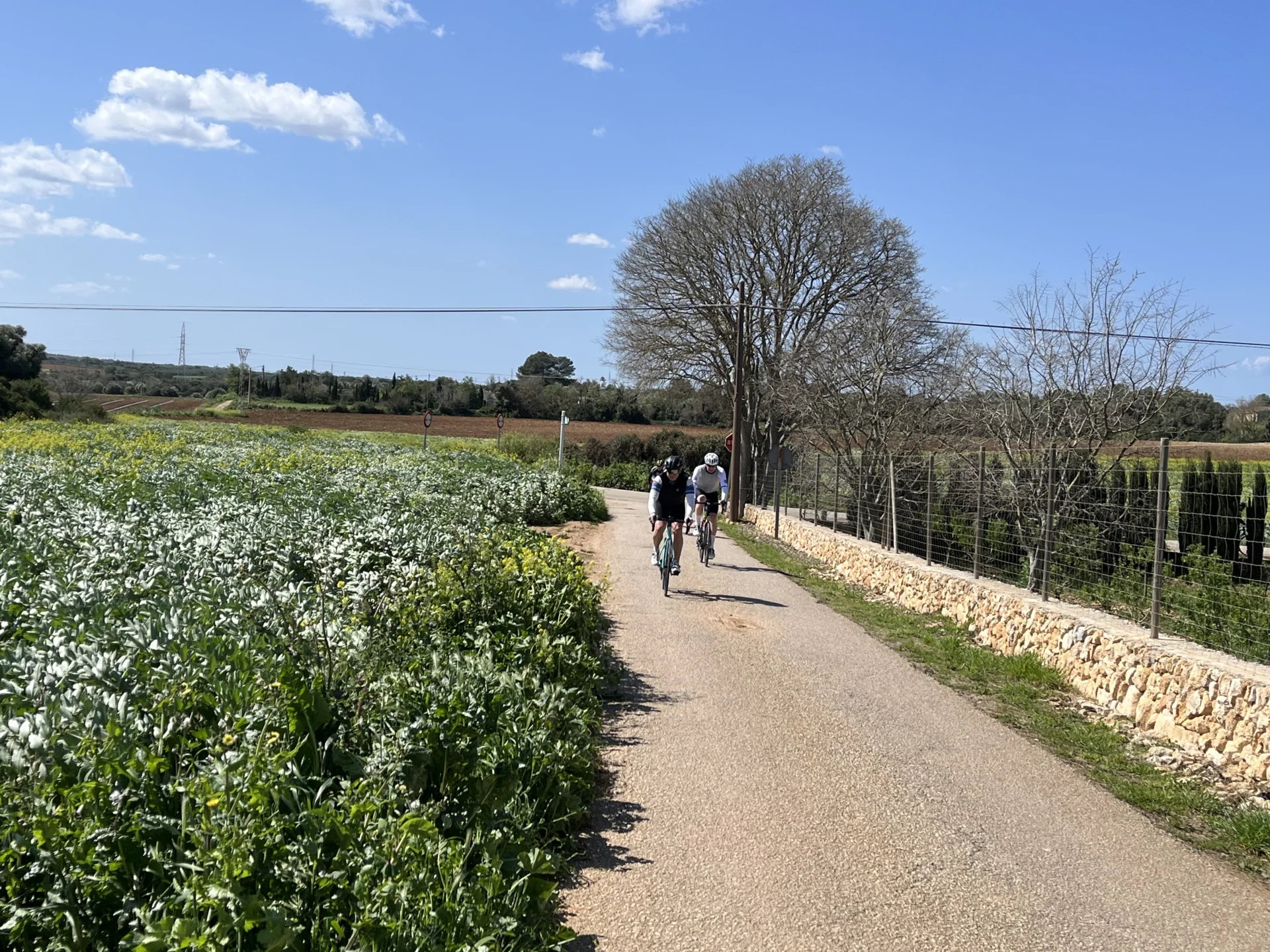 Bild: Mallorca 4