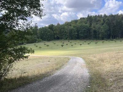 Vorschaubild: mittlere und lange Strecke 6