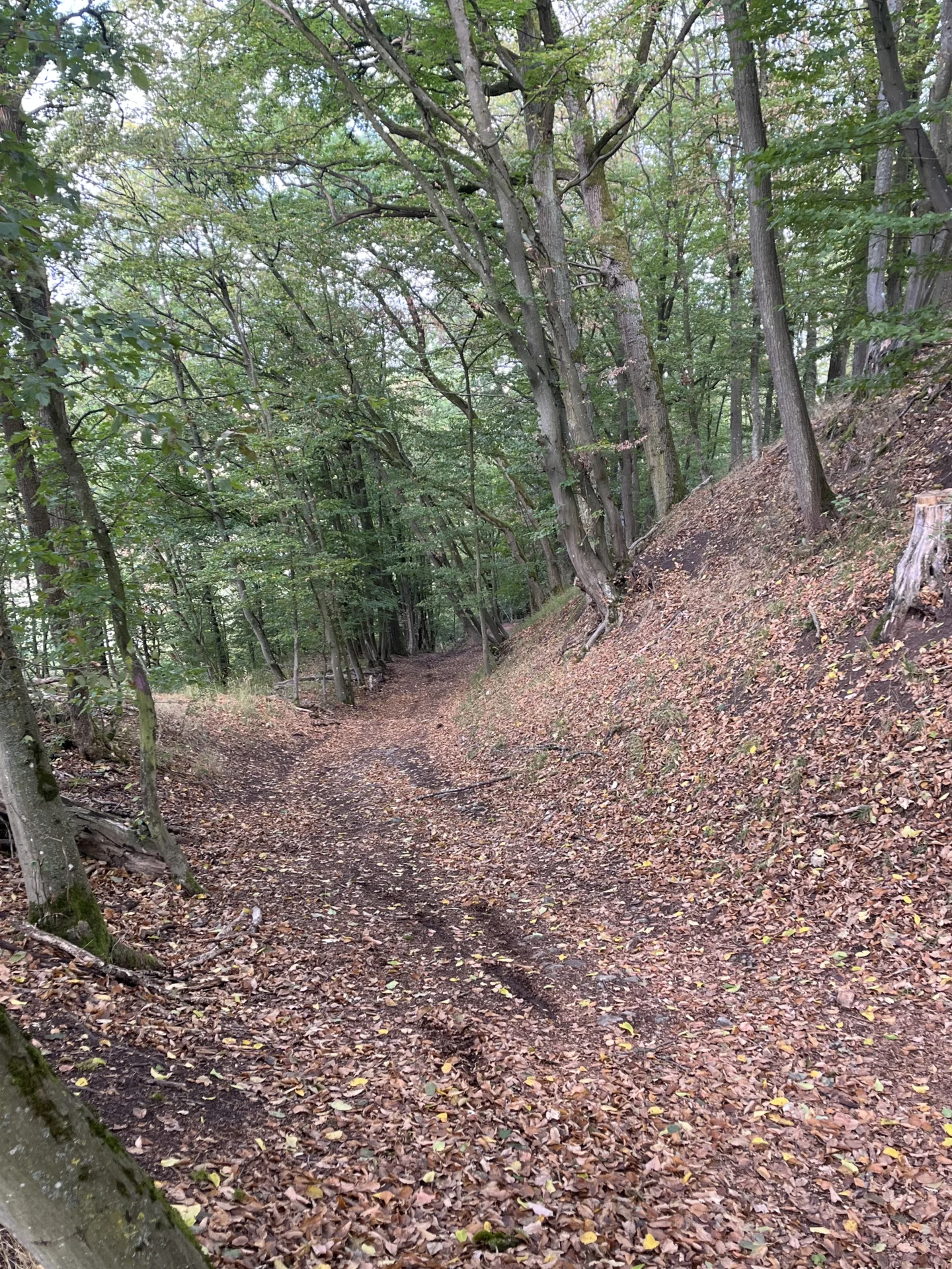 Bild: mittlere und lange Strecke 9