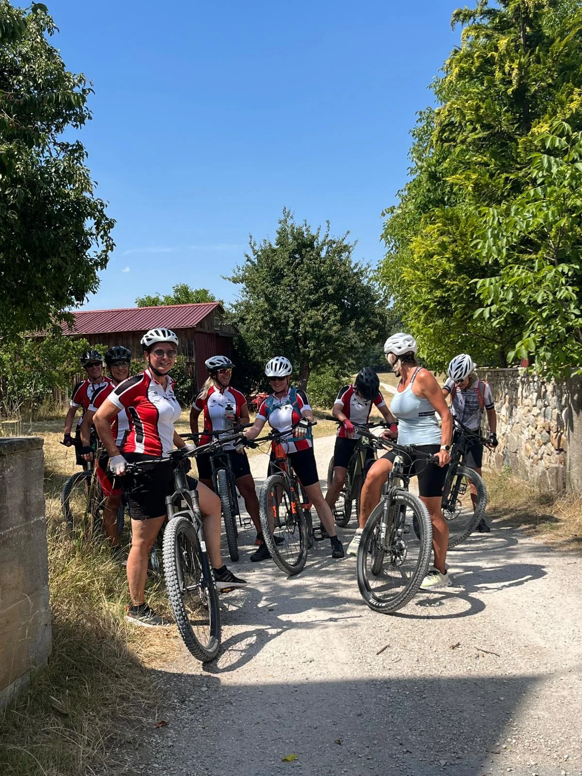 Bild: Damen MTB unterwegs