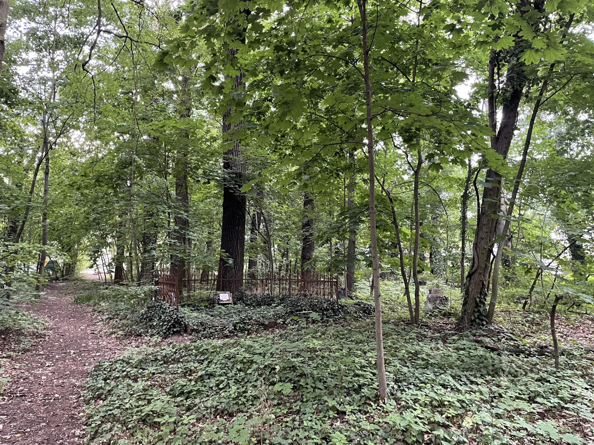 Blick auf die ehemalige Grabst&auml;tte des Geheimen Rat Friedrich Wilhelm dem Enkel des Schlo&szlig;erbauers.  (Bild vergr&ouml;&szlig;ern)