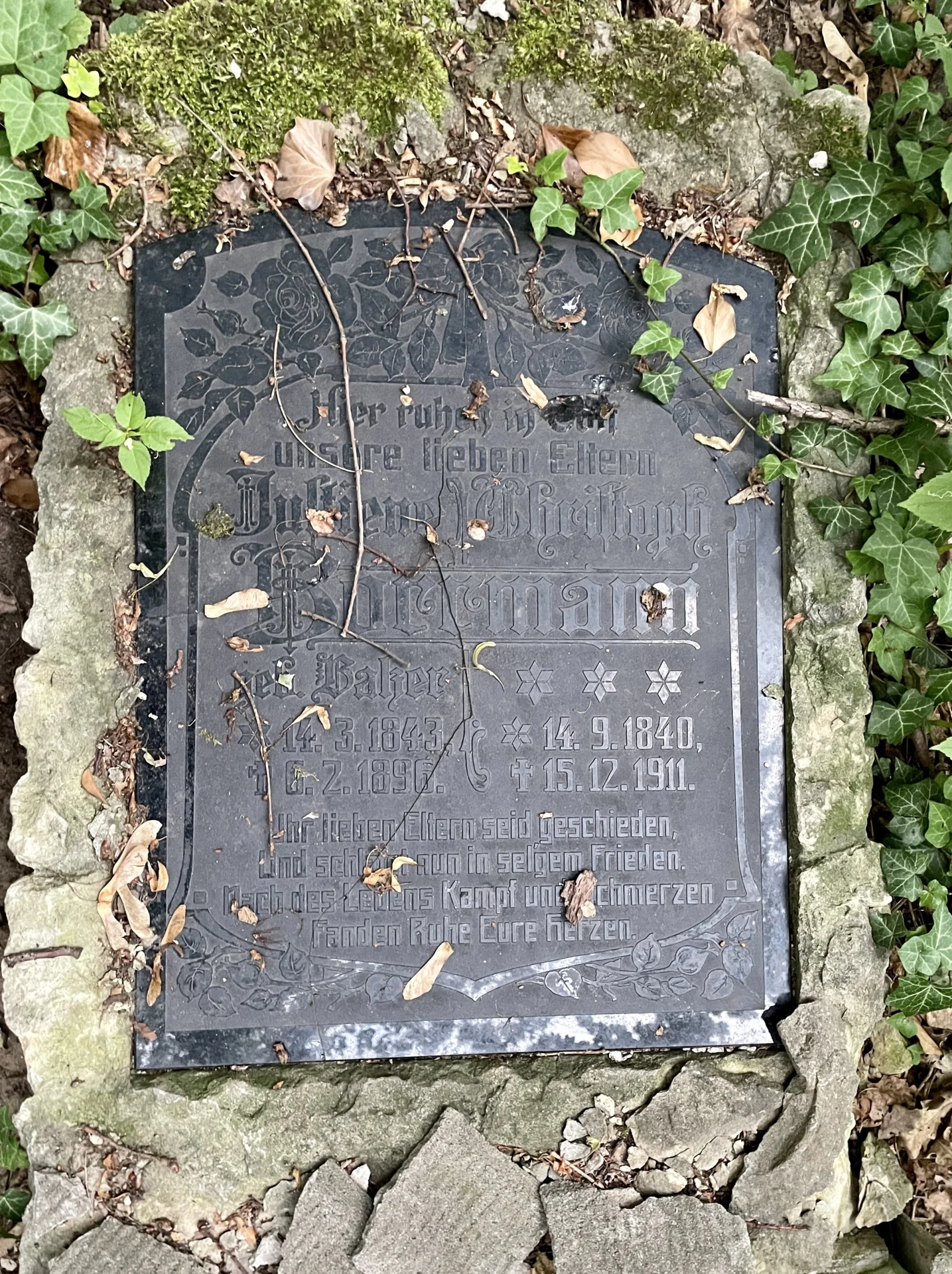 .  (Bild vergr&ouml;&szlig;ern)