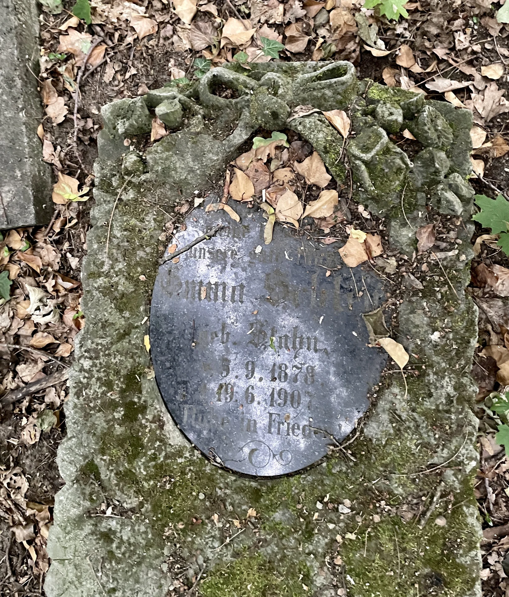 .  (Bild vergr&ouml;&szlig;ern)