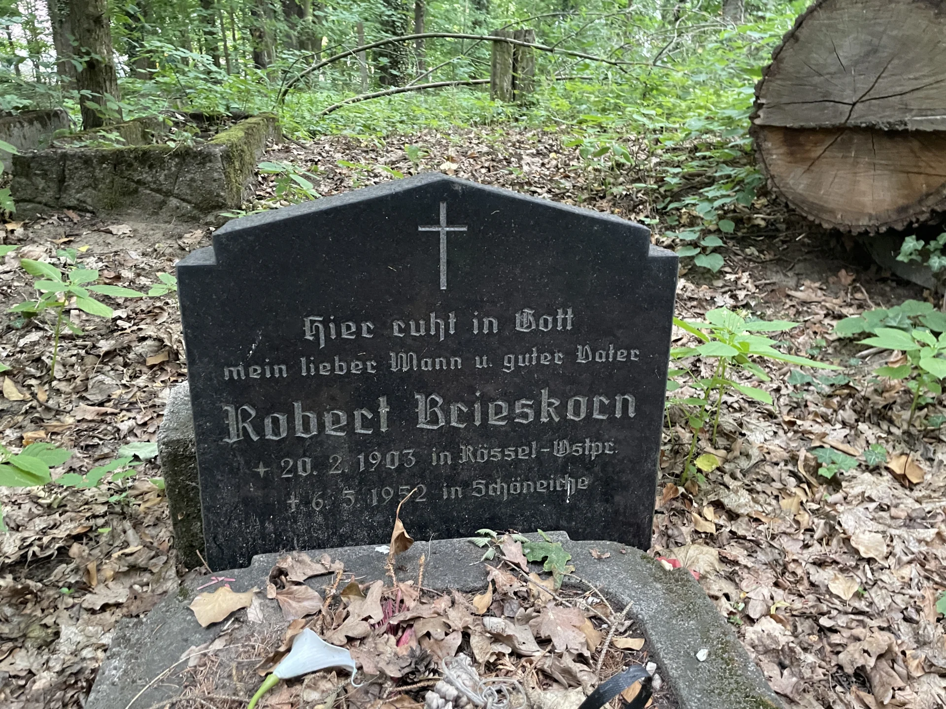 .  (Bild vergr&ouml;&szlig;ern)