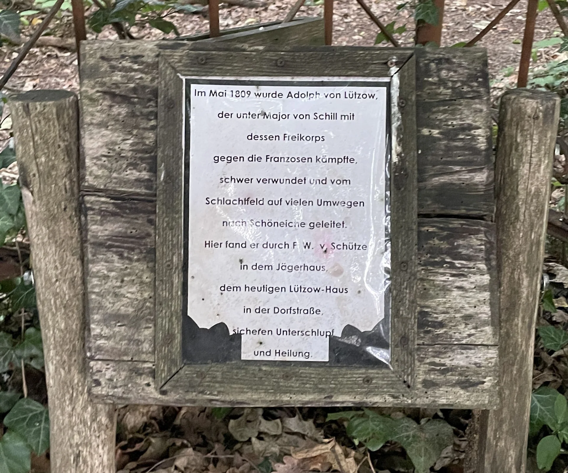 Eines der Verdienste Sch&uuml;tzes  (Bild vergr&ouml;&szlig;ern)