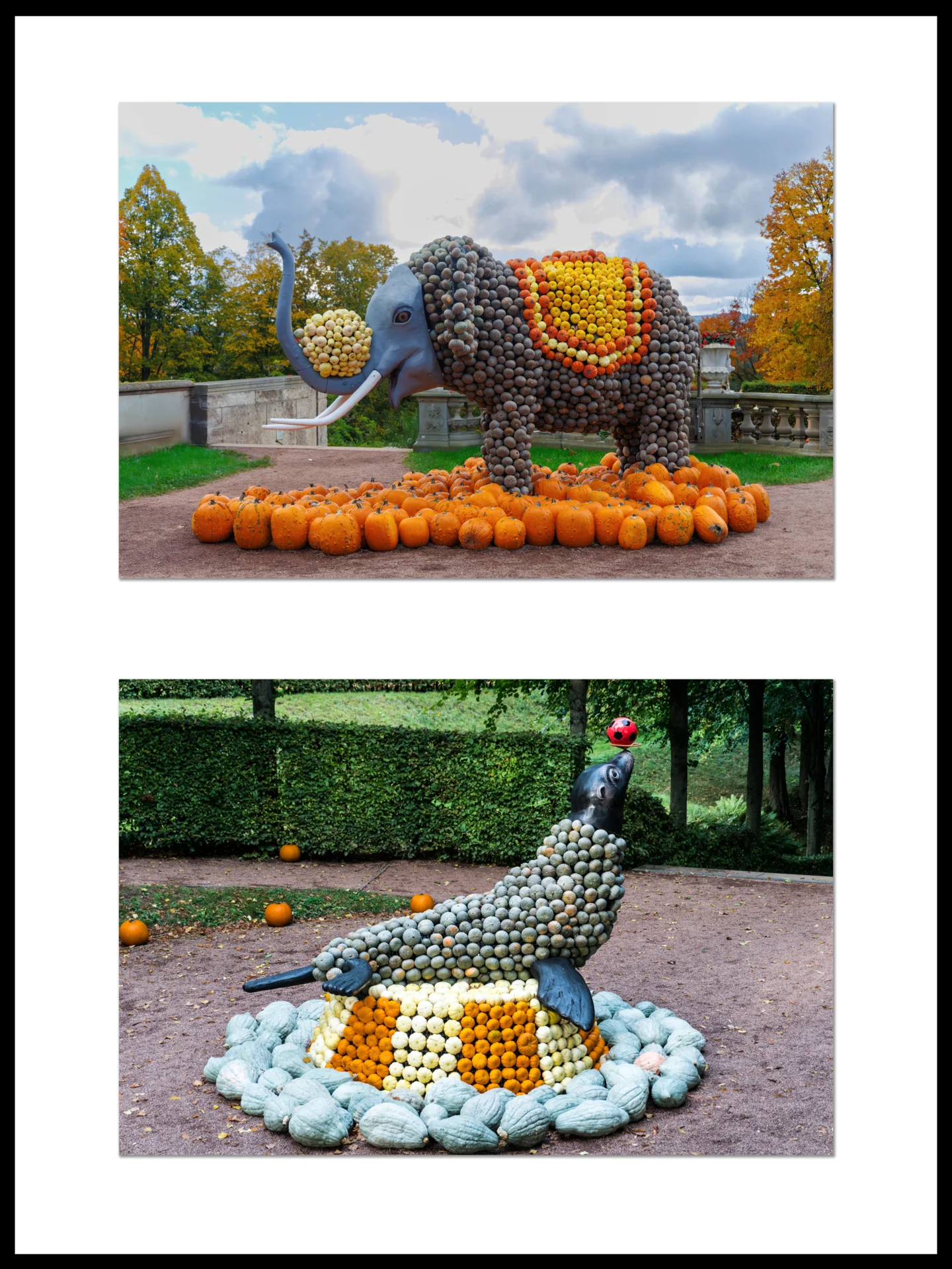 Rahmen 4  (Bild vergr&ouml;&szlig;ern)