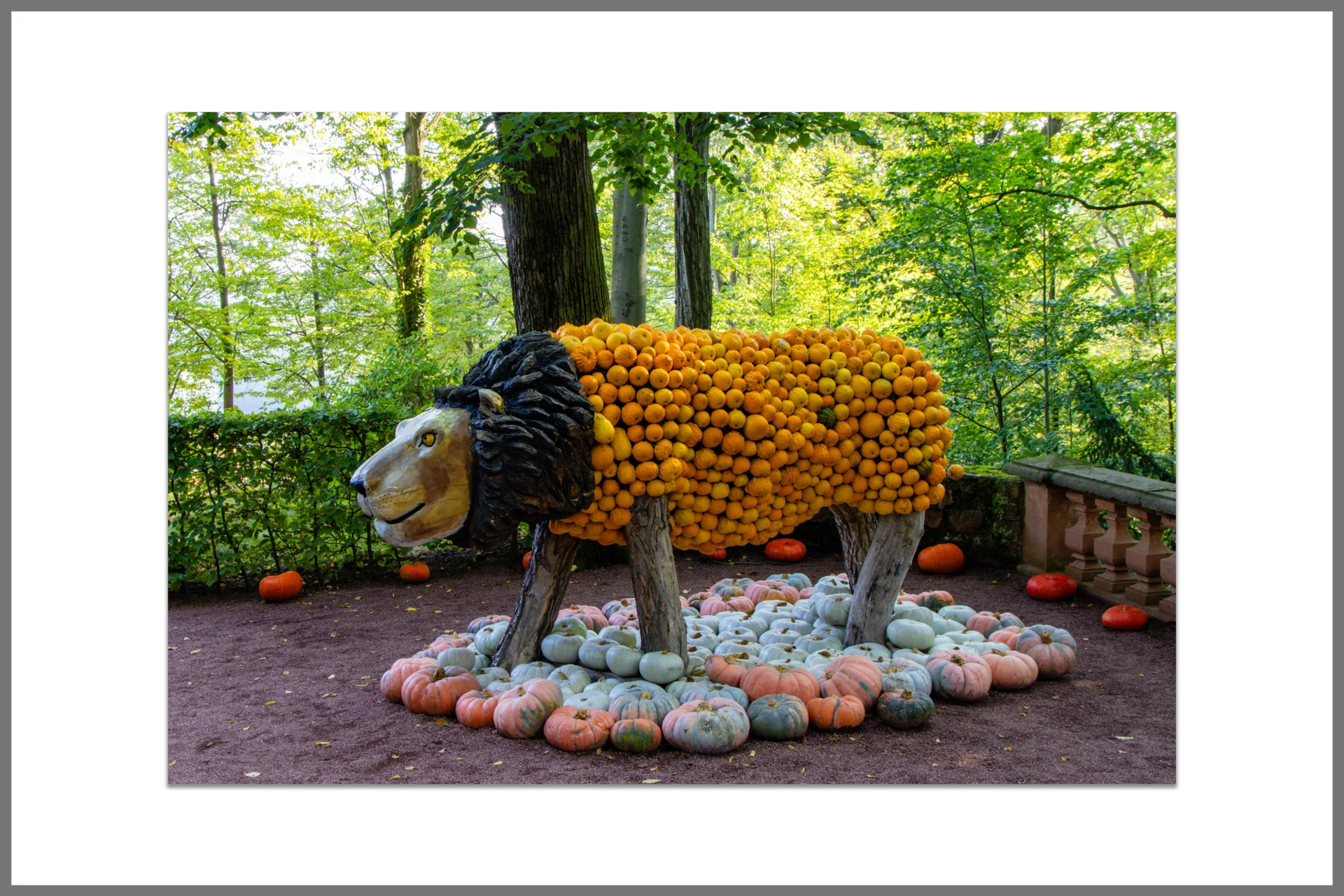 Rahmen 8  (Bild vergr&ouml;&szlig;ern)