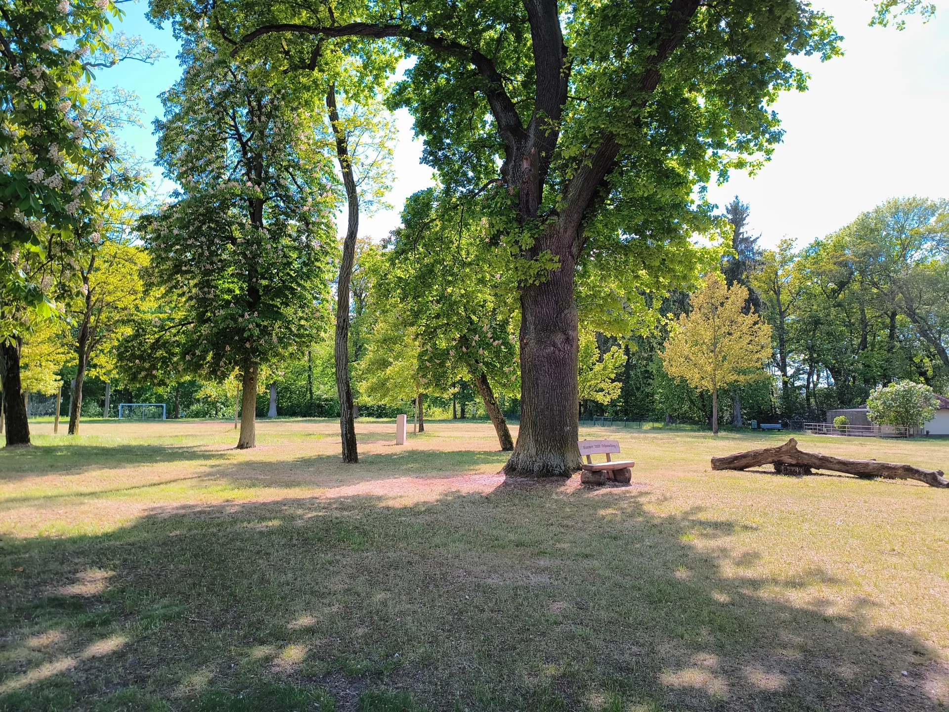 Anti-Rassismus-Bank und Blick auf den Sportplatz  (Bild vergr&ouml;&szlig;ern)