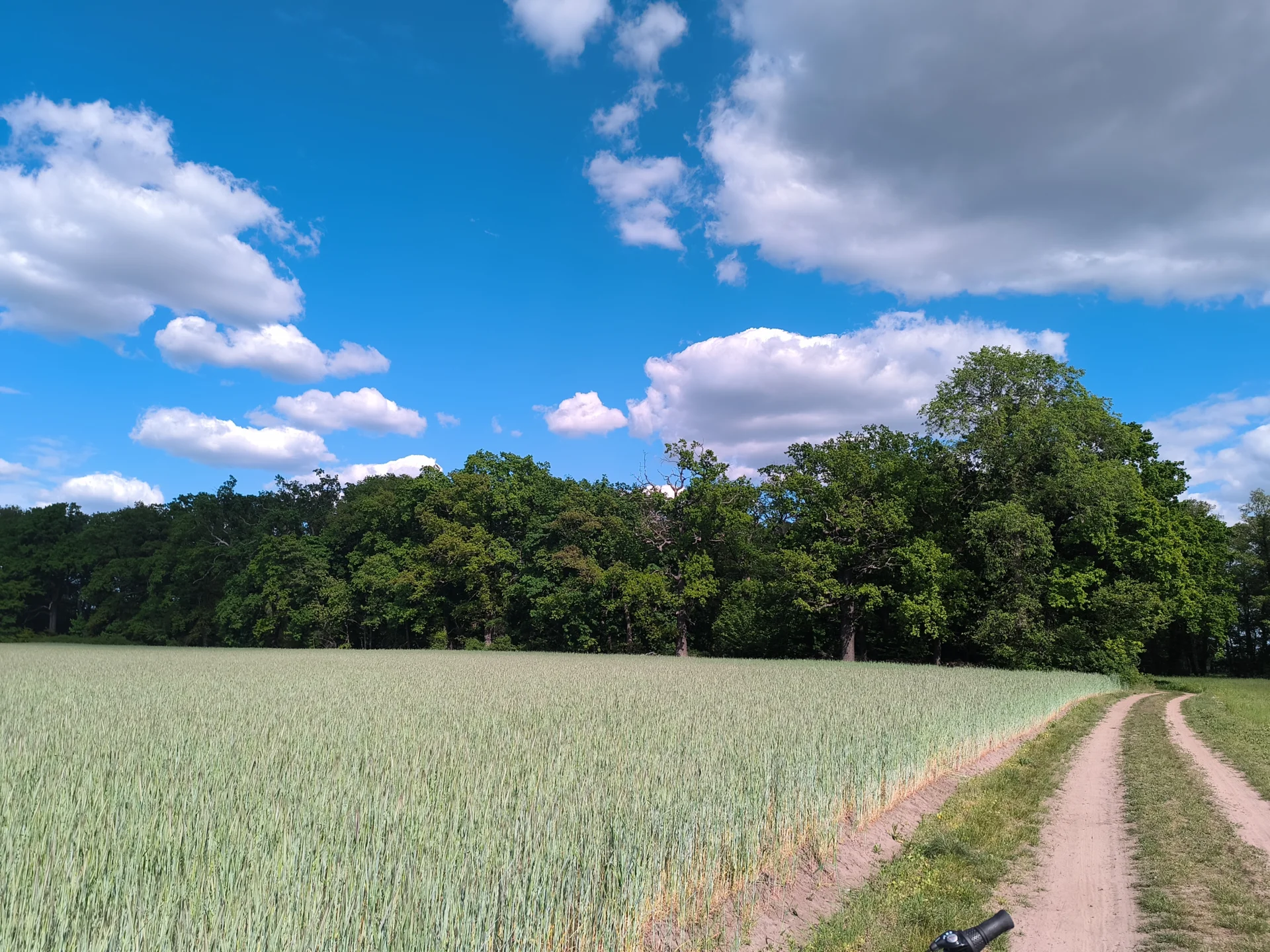 Blick auf den Gutspark (verl&auml;ngerter Wiesenweg, westlich des Gutsparks)  (Bild vergr&ouml;&szlig;ern)