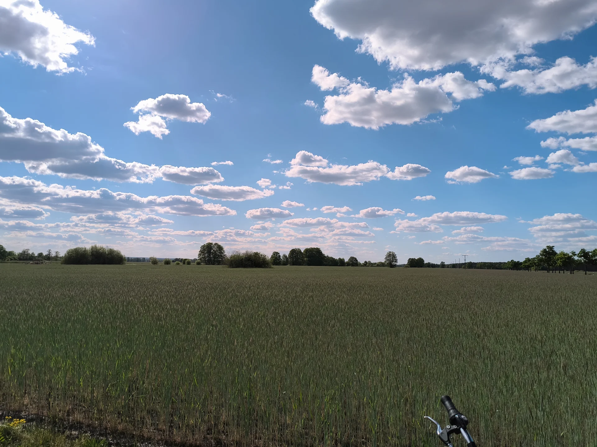 Felder vor der M&uuml;hle Blickrichtung West  (Bild vergr&ouml;&szlig;ern)