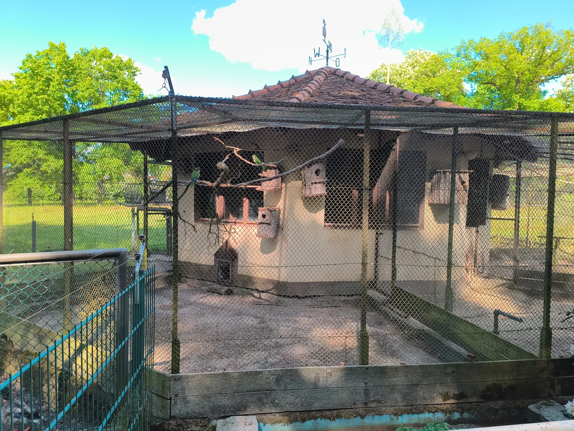 Vogelhaus mit Wellen- und Nymphensittichen  (Bild vergr&ouml;&szlig;ern)