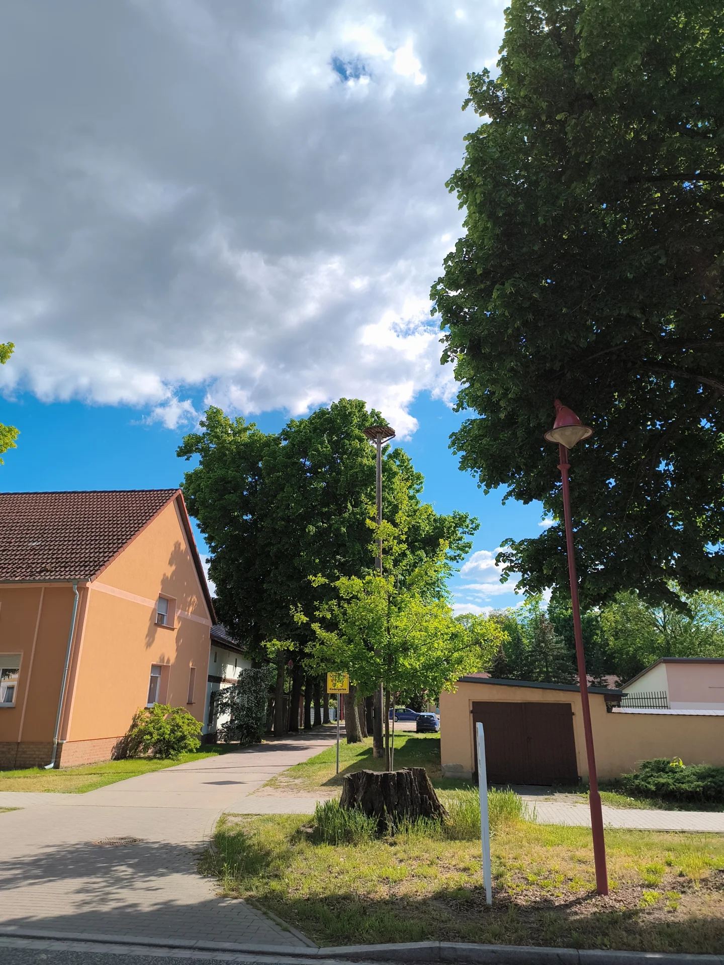 alter Storchenhorst  (Bild vergr&ouml;&szlig;ern)