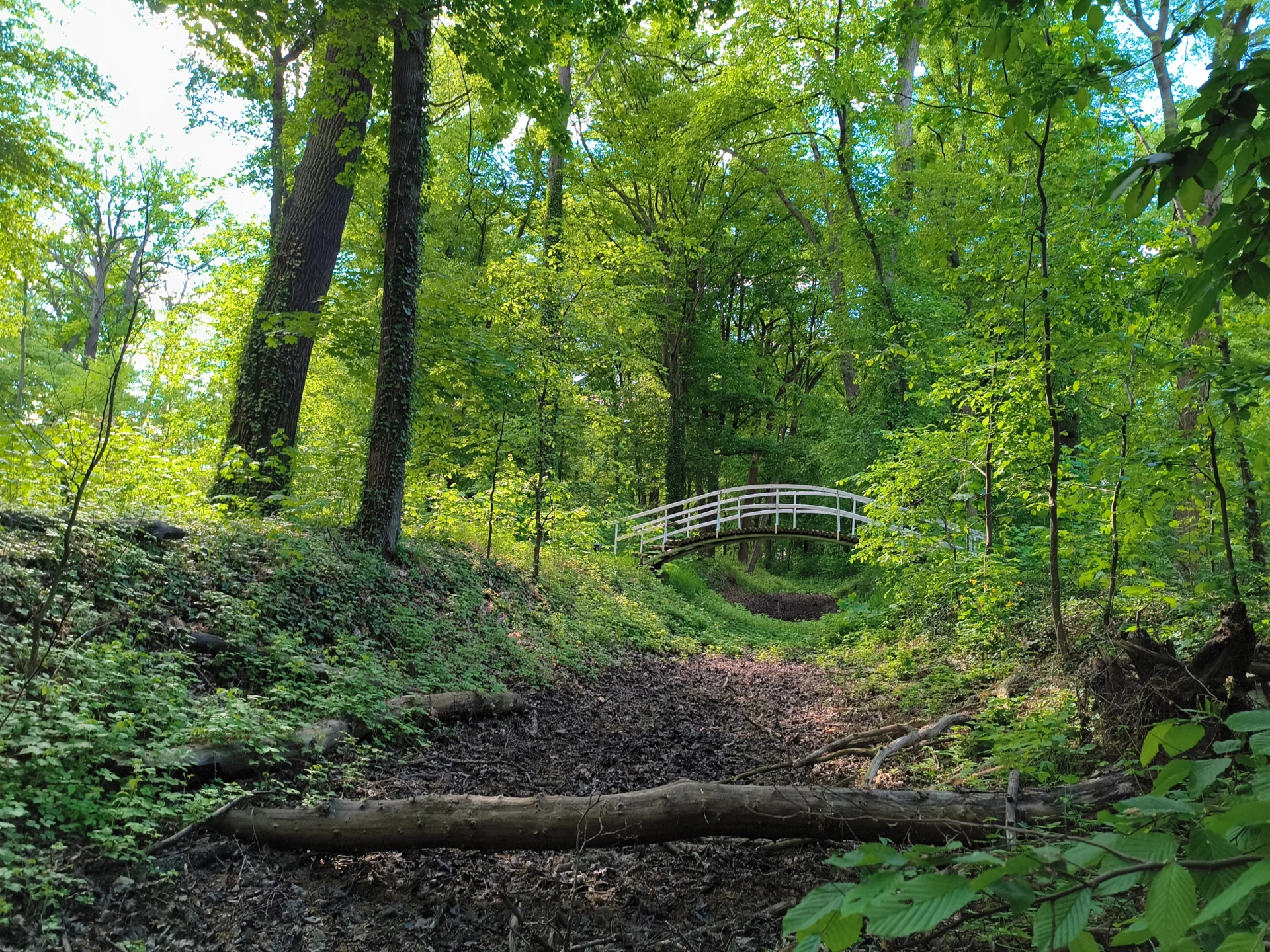 &ouml;stliche Bogenbr&uuml;cke im Gutspark  (Bild vergr&ouml;&szlig;ern)