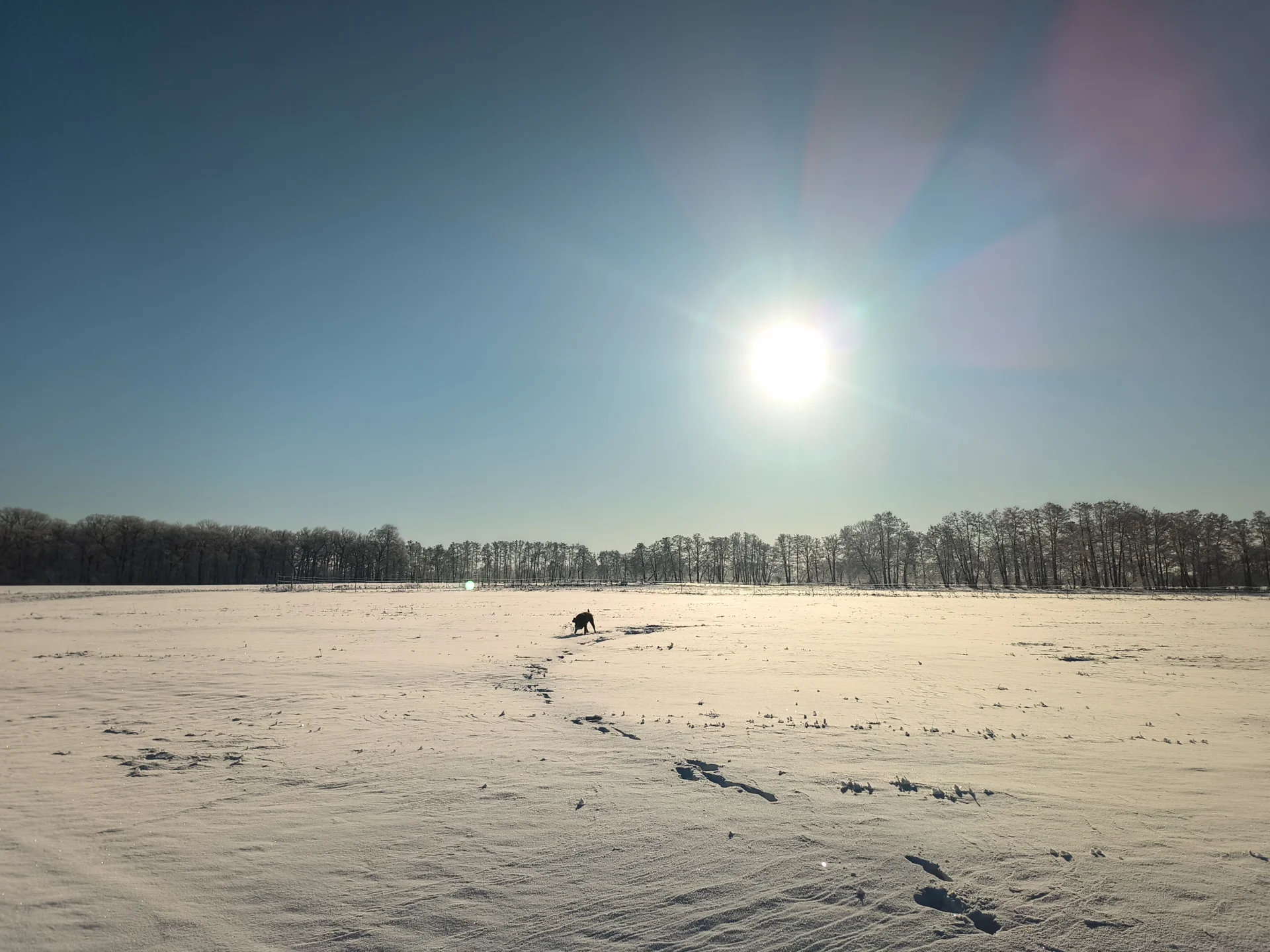 tolle Landschaft so weit das Auge reicht  (Bild vergr&ouml;&szlig;ern)