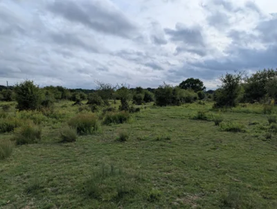 Vorschaubild: Knepp Rewilding