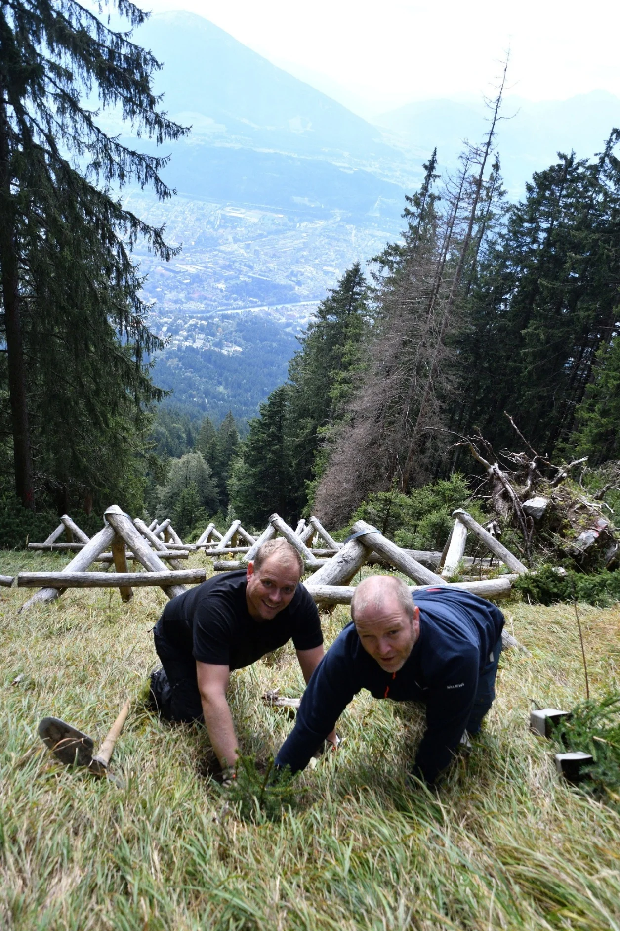 B&auml;ume pflanzen im steilen Schutzwald  (Bild vergr&ouml;&szlig;ern)