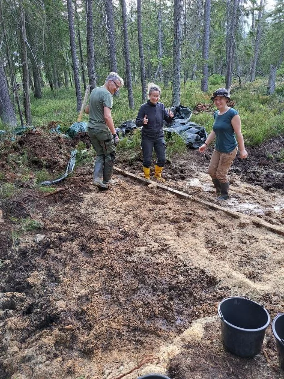 Moorwiedervern&auml;ssung, f&uuml;r die, die gerne im Dreck suhlen  (Bild vergr&ouml;&szlig;ern)
