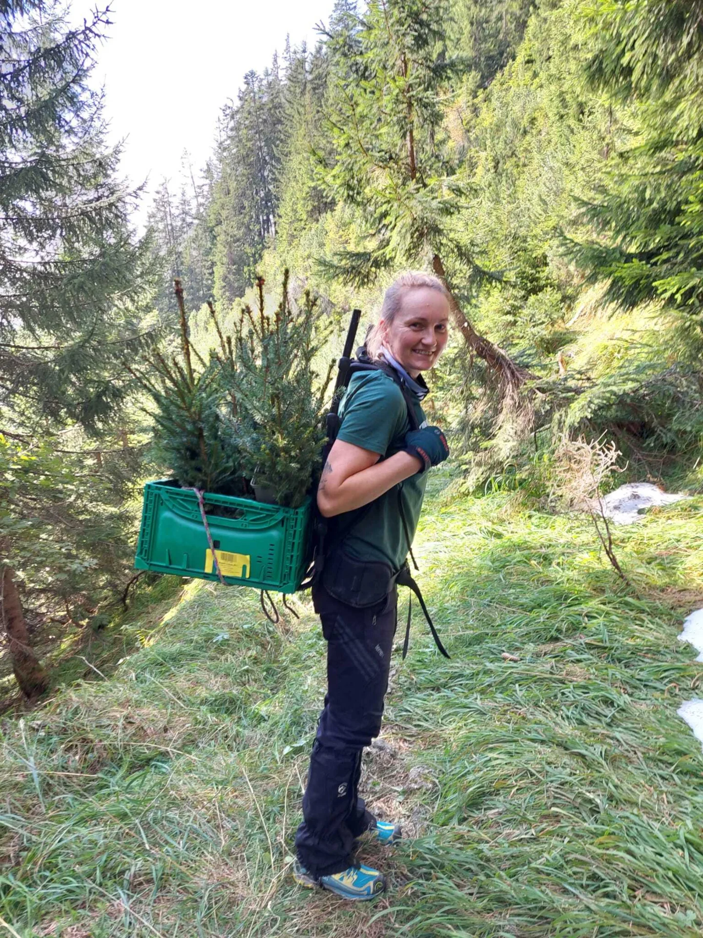 Setzlinge f&uuml;r den Schutzwald  (Bild vergr&ouml;&szlig;ern)