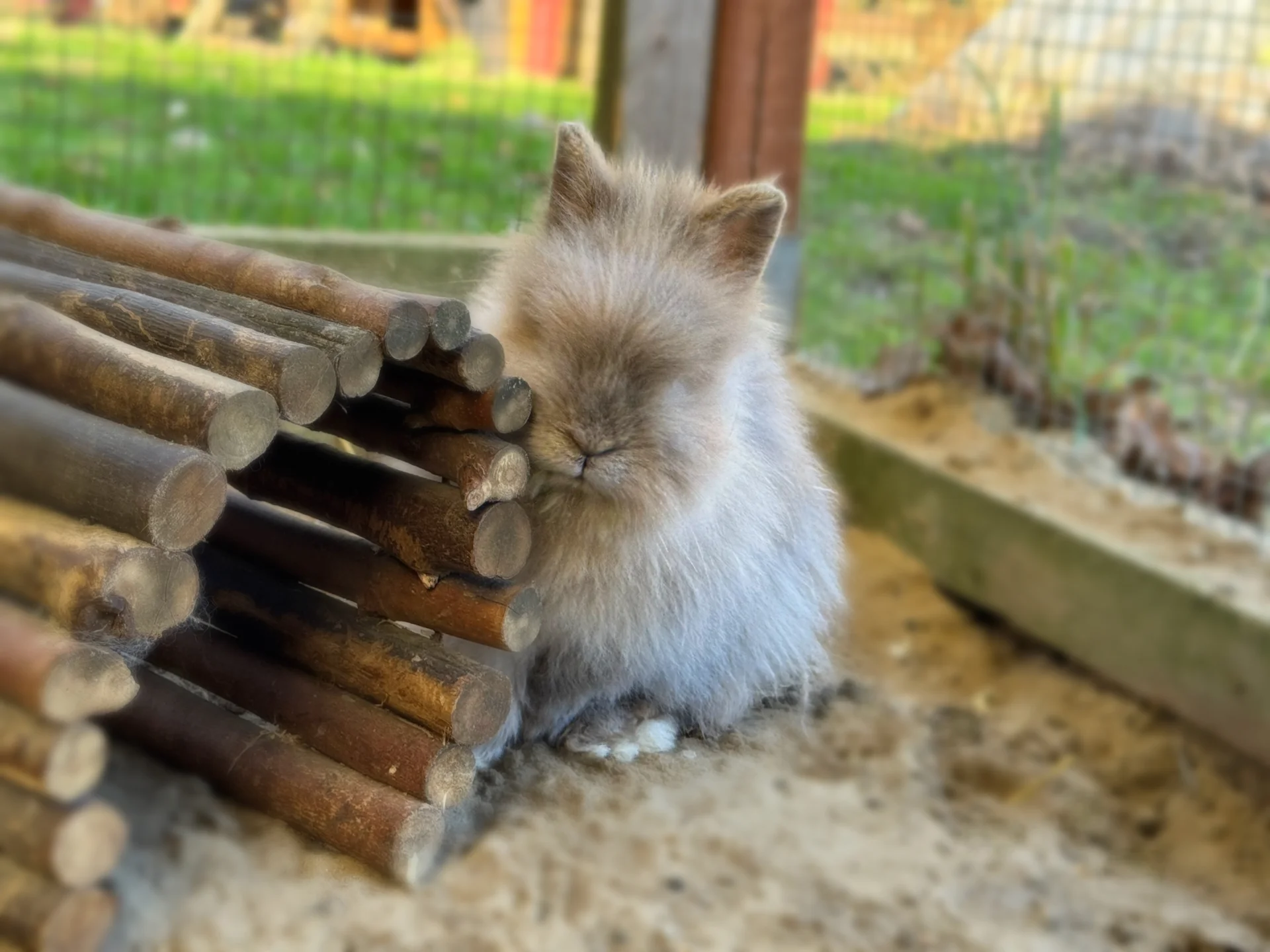 Zur Galerie: Fussel
