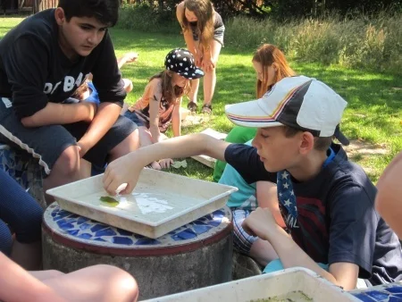 Foto der Galerie: 1. – 3. Juli 2015: Klassenfahrt der 4a und 4b nach Gut Sunder