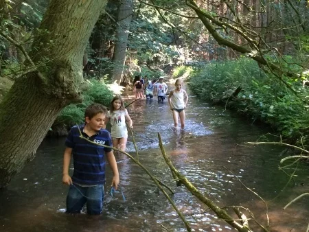 Foto der Galerie: 1. – 3. Juli 2015: Klassenfahrt der 4a und 4b nach Gut Sunder